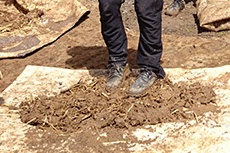 1-day cob course